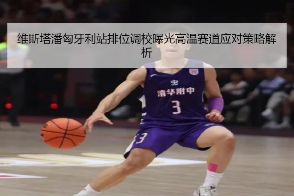 维斯塔潘匈牙利站排位调校曝光高温赛道应对策略解析